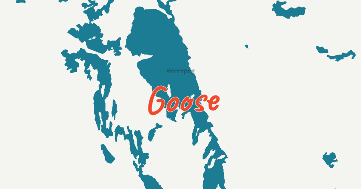 Goose